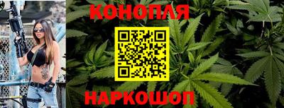 Альфа ПВП Чапаевск